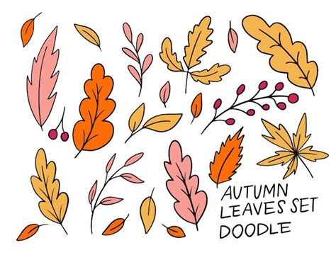Premium Vector Collection Of Autumn Leaves Doodle