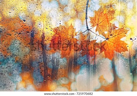 Autumn Leaves On Rainy Glass Texture Concept Of Fall Season Autumn