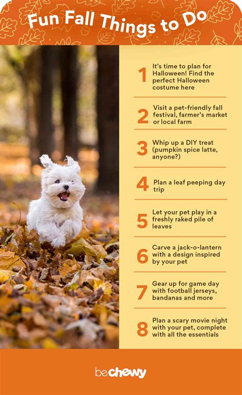 Make The Most Of The Fall With This Ultimate Autumn Pet Parent To Do
