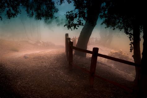 Nature Landscape Sunrise Mist Path Trees Fence Dirt Road Atmosphere