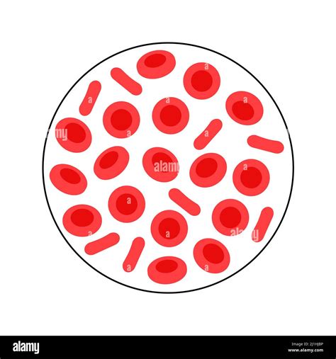 Red Blood Cells Illustration Stock Photo Alamy