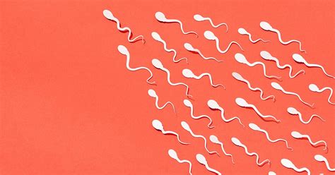 13 facts about semen and sperm composition volume and more