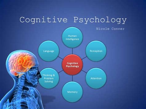 Cognitive Psychology Nicole Conner