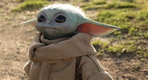 Baby Yoda What Is He Exactly What Is His Real Name