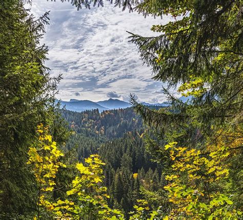 Hd Wallpaper View Mountains Alpine Bavaria Bavarian Trees Forest