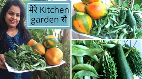 मेरे Kitchen Garden की Fresh और Organic सब्जिया Indian Kitchen