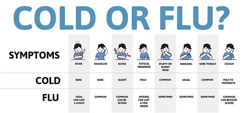 Cold And Flu Symptoms Table Infographic Poster With Text And Character