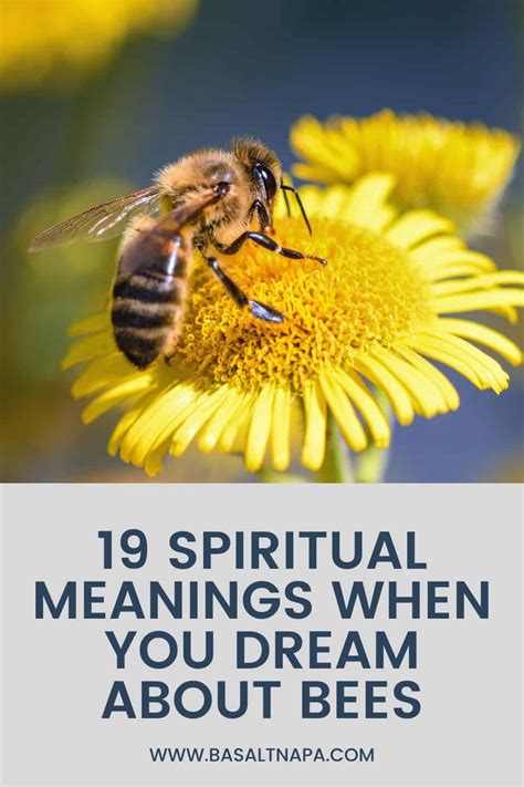 19 Spiritual Meanings When You Dream About Bees
