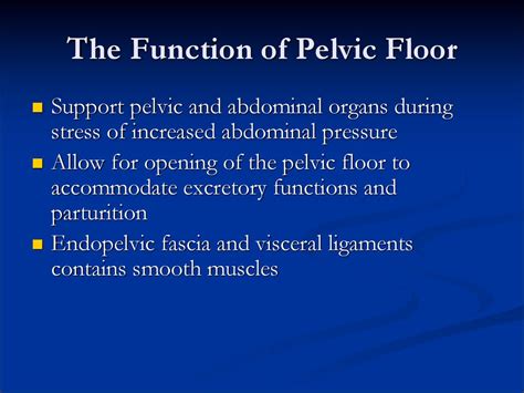 Pelvic аnatomy презентация онлайн