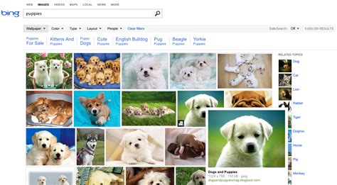 Bings Image Search Gets A New Look Updated Features