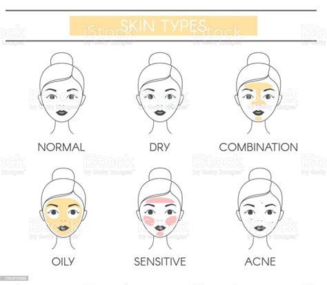 Basic Skin Types Normal Dry Combination Oily Sensitive And Acne Line