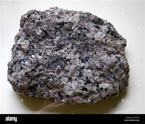 A Piece Of Granite A Common Type Of Intrusive Felsic Igneous Rock