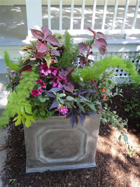 Container Garden For Shade Container Flowers Container Garden