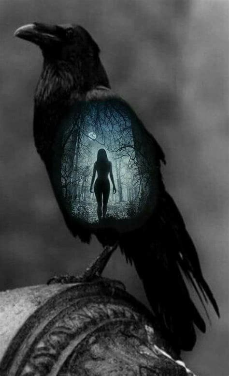 Pin By Ashaela Shiri On Crows And Ravens Dark Fantasy Art Crow Art