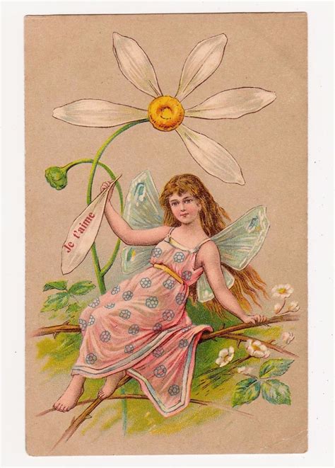Pre 1905 Illustrated Edwardian Fairy Girl In Pink With Daisy Flower