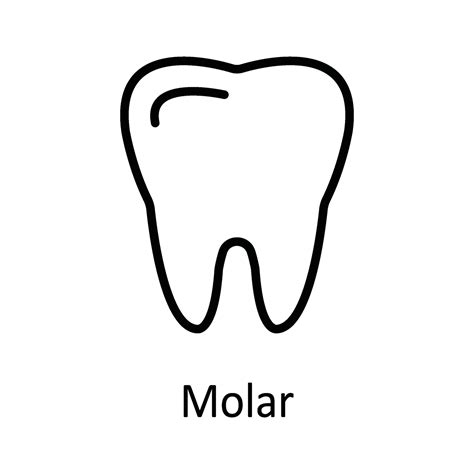 Molar Vector Outline Icon Design Illustration Medical And Health