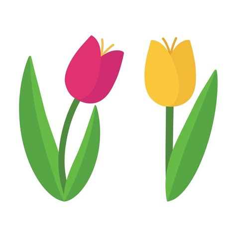 Conjunto De De Colores Vector Tulipanes Ilustración De Un Linda Dibujos