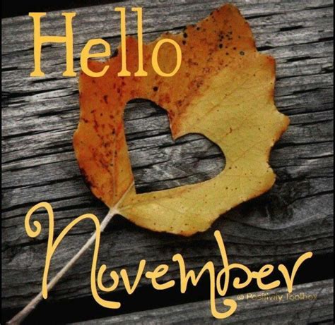 Novembre November ♡🍁 Welcome November Hello November Sweet November
