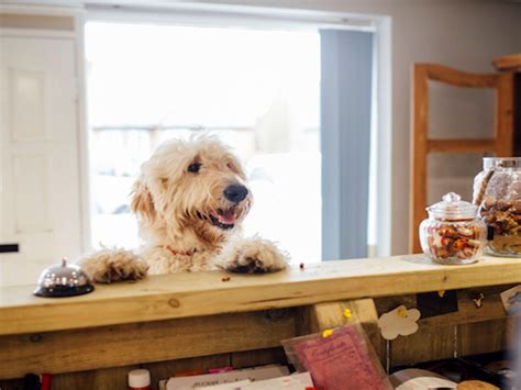 Hotel Covington KY | Holiday Inn Cincinnati-Riverfront