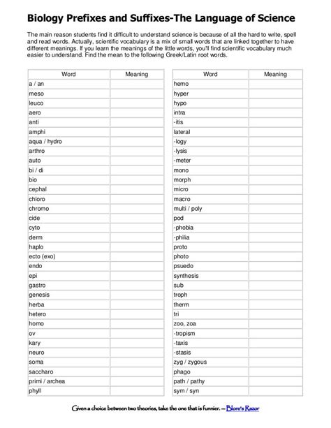 Biology Prefixes And Suffixes