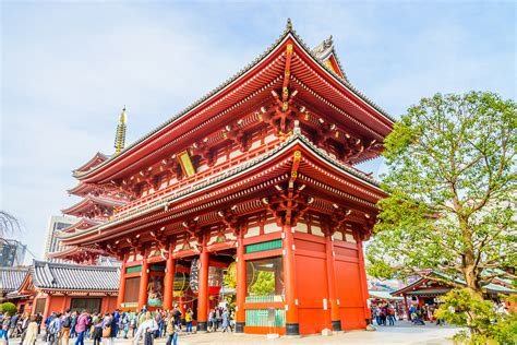 Enjoy Half Day Bus Tour Around Best Tourist Spots In Tokyo