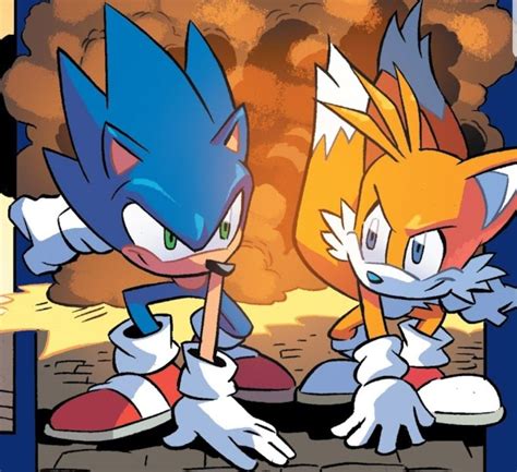 Sonic And Tails From Idw Sonic The Hedgehog Issue 1 Sonic Sonic Art