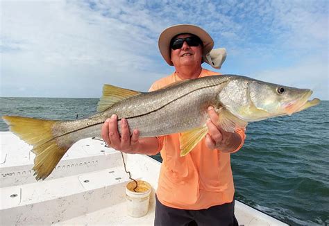 Snook Reel Florida Fishing Charters