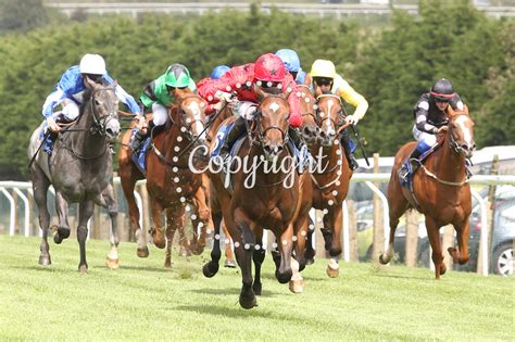 Brighton Racecourse All Photographs