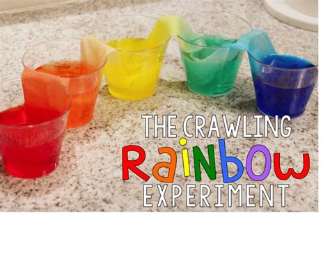 Diy Crawling Rainbow Learning Resources Blog Rainbow Experiment