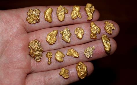 Several Ounces Of Natural Gold Nuggets Recently Found By A Gold