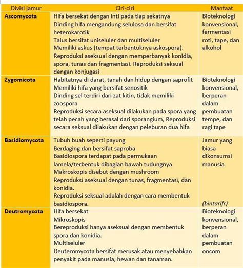 Perbedaan Zygomycota Ascomycota Basidiomycota Dan Deuteromycota Riset