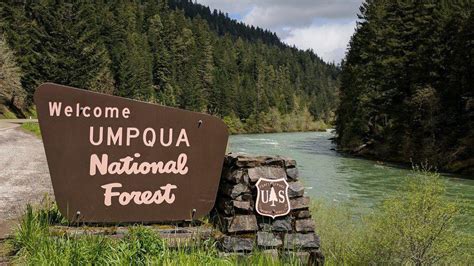 Umpqua National Forest Reopens Many Campgrounds Outdoors