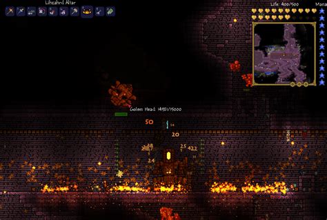How to feed our butterfly friends. Golem - Terraria Wiki - Wikia