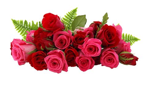 Bunch of roses stock photos and images (41,760). Rose PNG flower images, free download