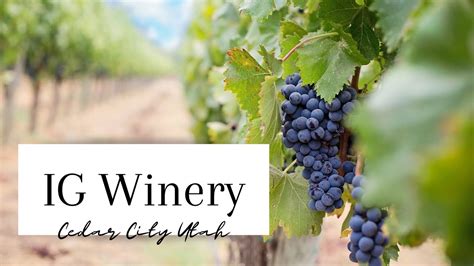 Utah Winery Cedar Citys Ig Winery The Best Youtube