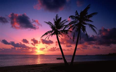 Tropical Island Sunset Wallpapers Wallpaper Cave