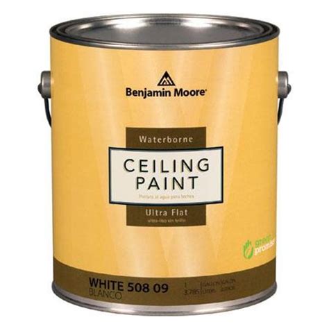 Naturally, paints specified as ceiling paints are the safest option for painting your ceiling. Benjamin Moore 1 Gallon Waterborne Ceiling Paint