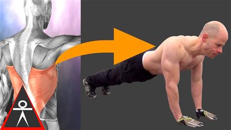 How To Make Your Push Ups Stronger In 20 Seconds Youtube