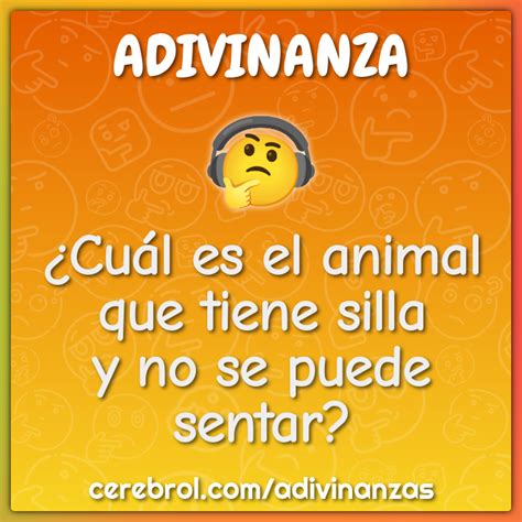 ¿Cuál es el animal que tiene silla y no se puede sentar? - Adivinanza
