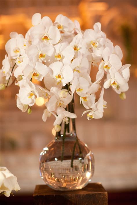 Gorgeous White Orchid Centerpiece Inspiration B Lovely Events