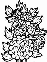 Coloring Chrysanthemum Spring Nature Orchid sketch template