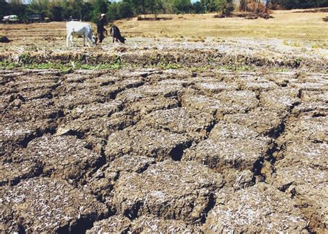Pagasa Warns Filipinos Of Possible El Niño Phenomenon Next Year