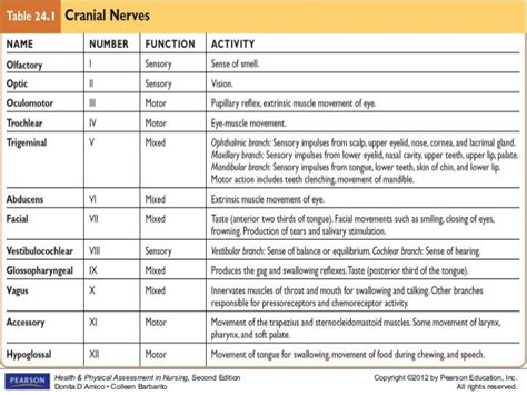 Neurological Assessment