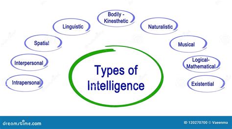 9 Intelligence Types Types Of Intelligence Stock Illustration