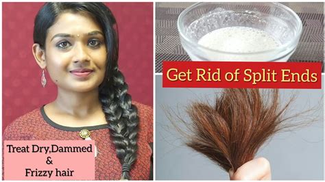 How To Get Rid Of Split Endstreat Drydamaged And Frizzy Haireffective