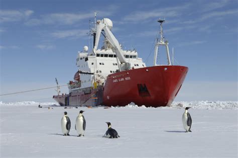 Scientists To Visit Hidden Antarctic Ecosystem After Giant Iceberg Calving