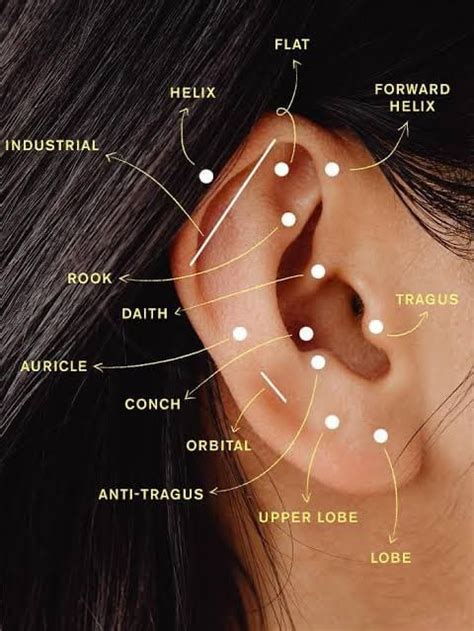 Top Stylish Ear Piercing Styles You Should Know