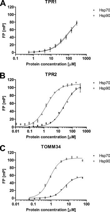 The Assembly And Intermolecular Properties Of The Hsp70 Tomm34 Hsp90