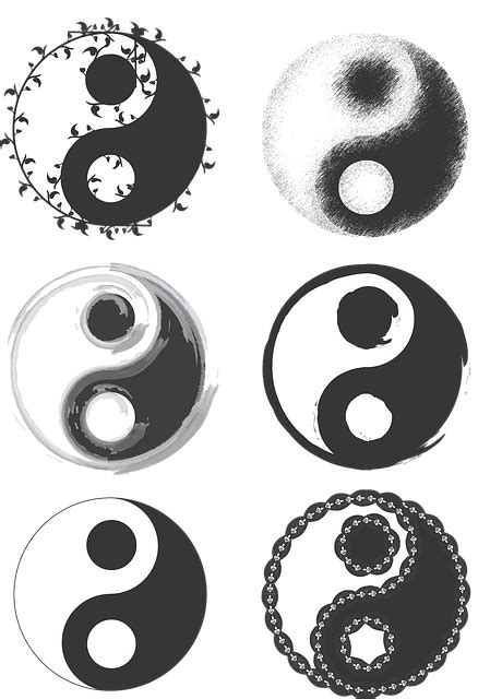 Ying Yang Symbol Jing Jang Yin Free Vector Graphic On Pixabay