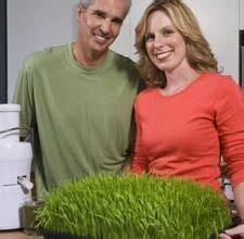 Our pick of the best cat grass is a planter cleverly designed with a grid and drainage holes. How to Grow Wheatgrass Without Soil | Growing wheat grass ...